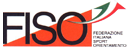 Logo FISO Logo FISO